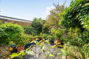 Rear garden- click for photo gallery